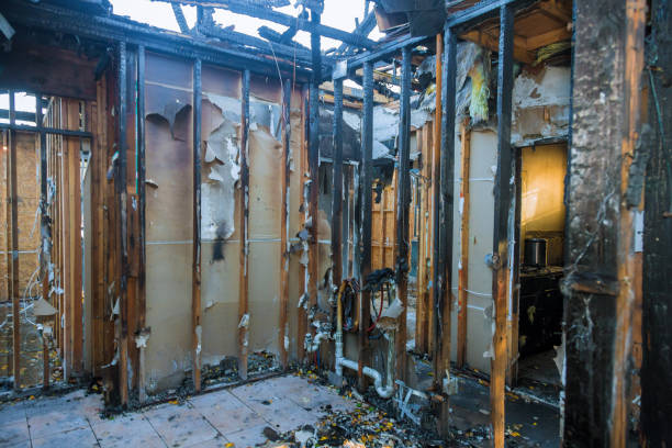 Professional Structural Rebuild technician working in Westminster, TX